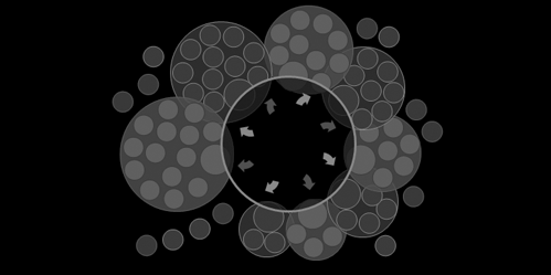 vision d'organisation
