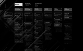 expertise en architecture de l'information
