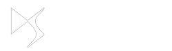 logo ds