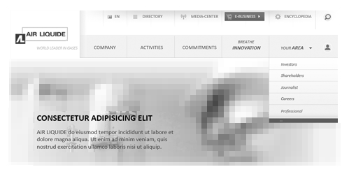 UX site institutionnel
